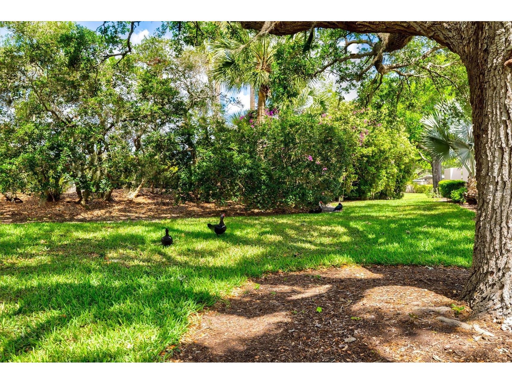 4566 Hidden View Place #7 Sarasota FL 34235 A4690147 image55