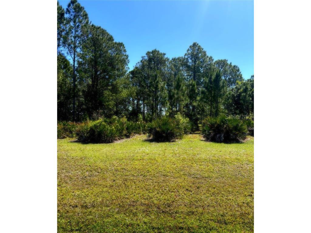 4566 Wrightbros Road Frostproof FL 33843 P4936995 image1