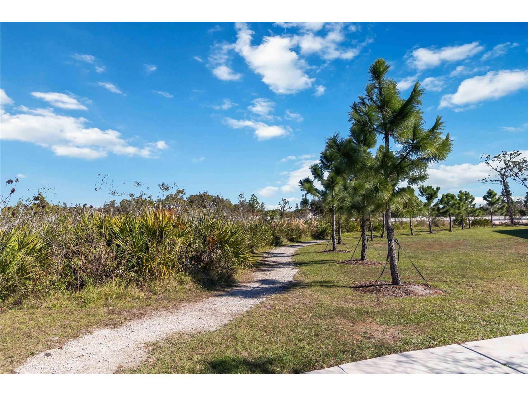 4569 Rangeland Way Saint Cloud FL 34772 O6373132 image39