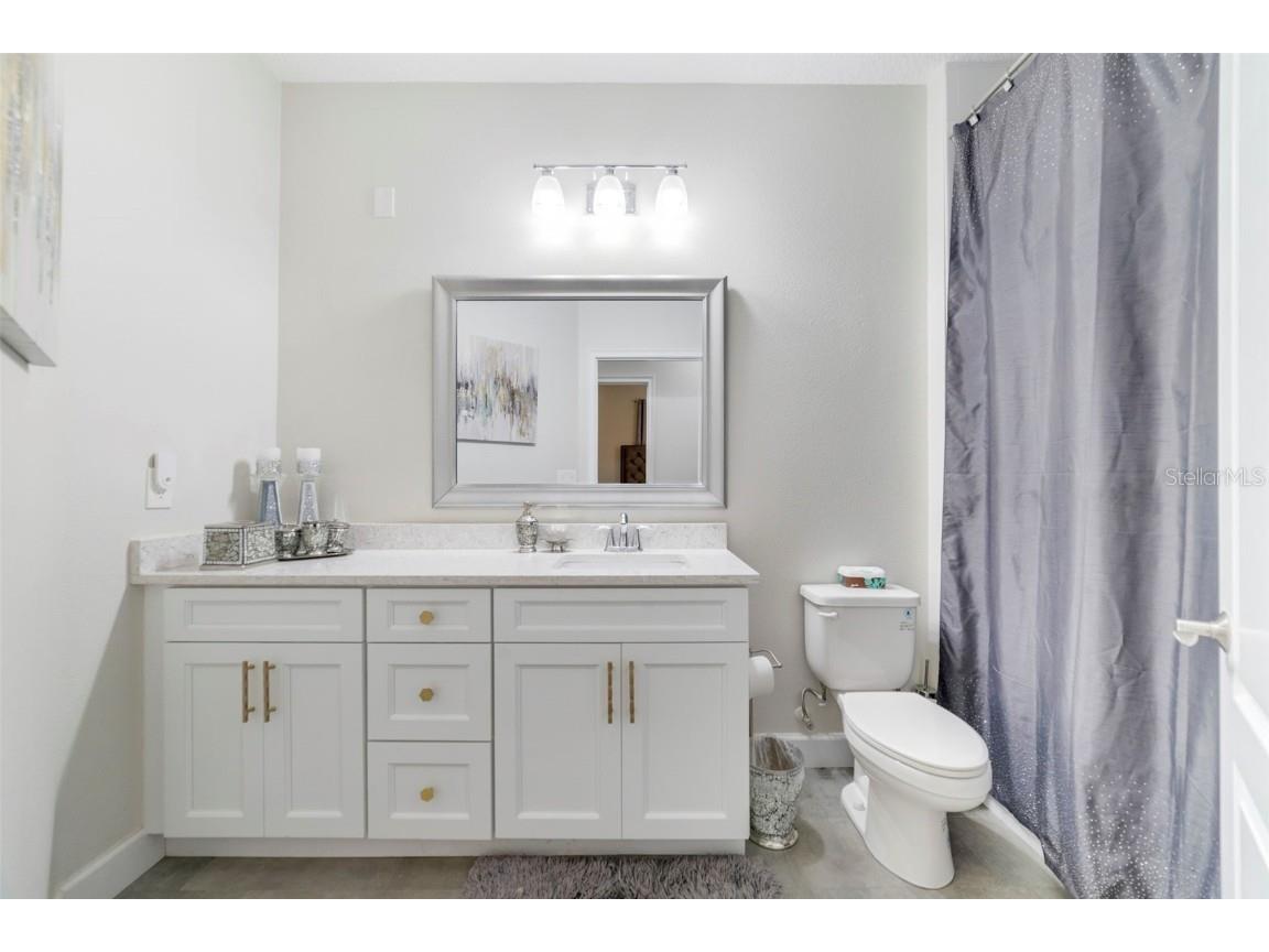 457 Chinahill Court Apopka FL 32712 O6363197 image24