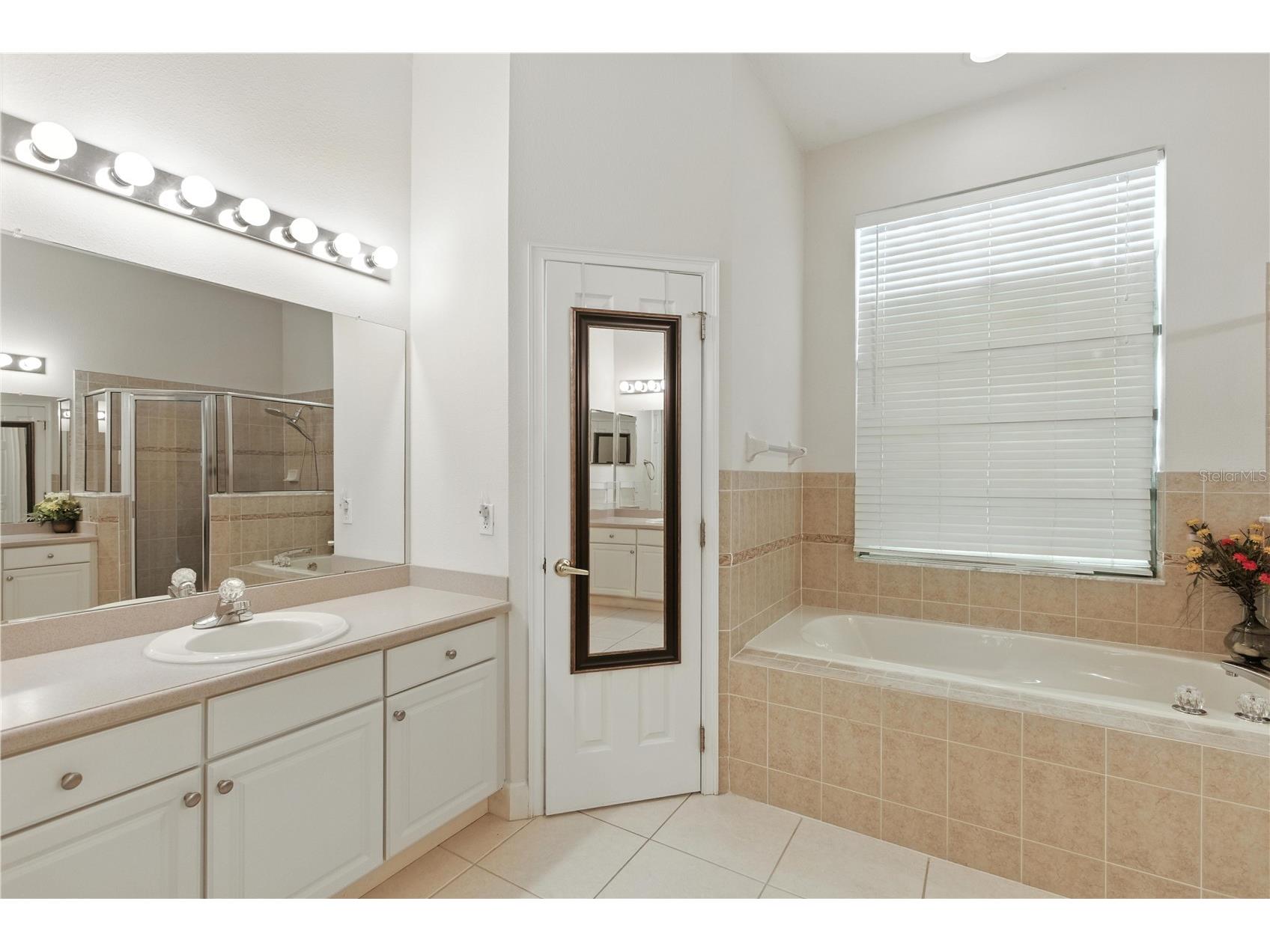 457 Golf Vista Circle Davenport FL 33837 O6391375 image14