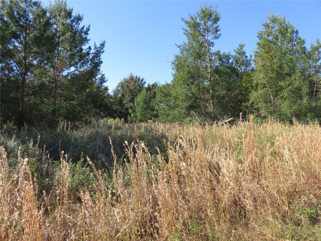 457 Marion Oaks Golf Way Ocala FL 34473 OM689684 image1