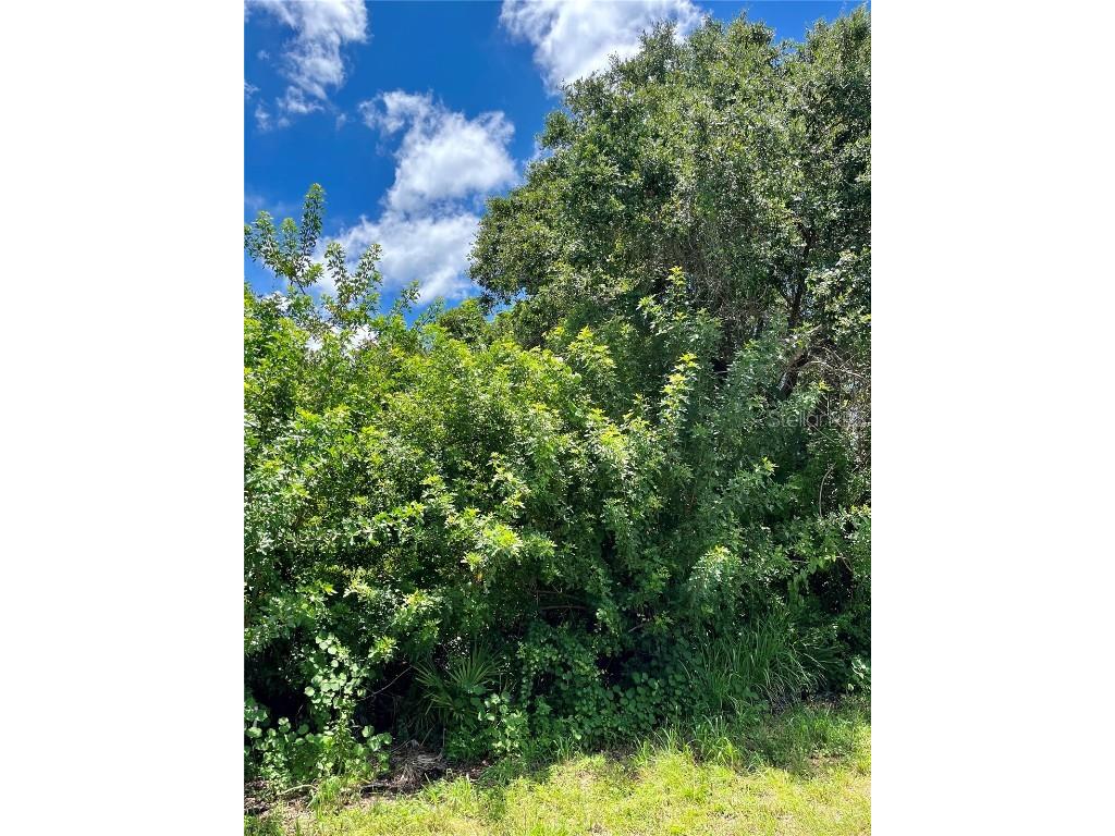 457 Verona Street Port Charlotte FL 33948 C7462937 image1