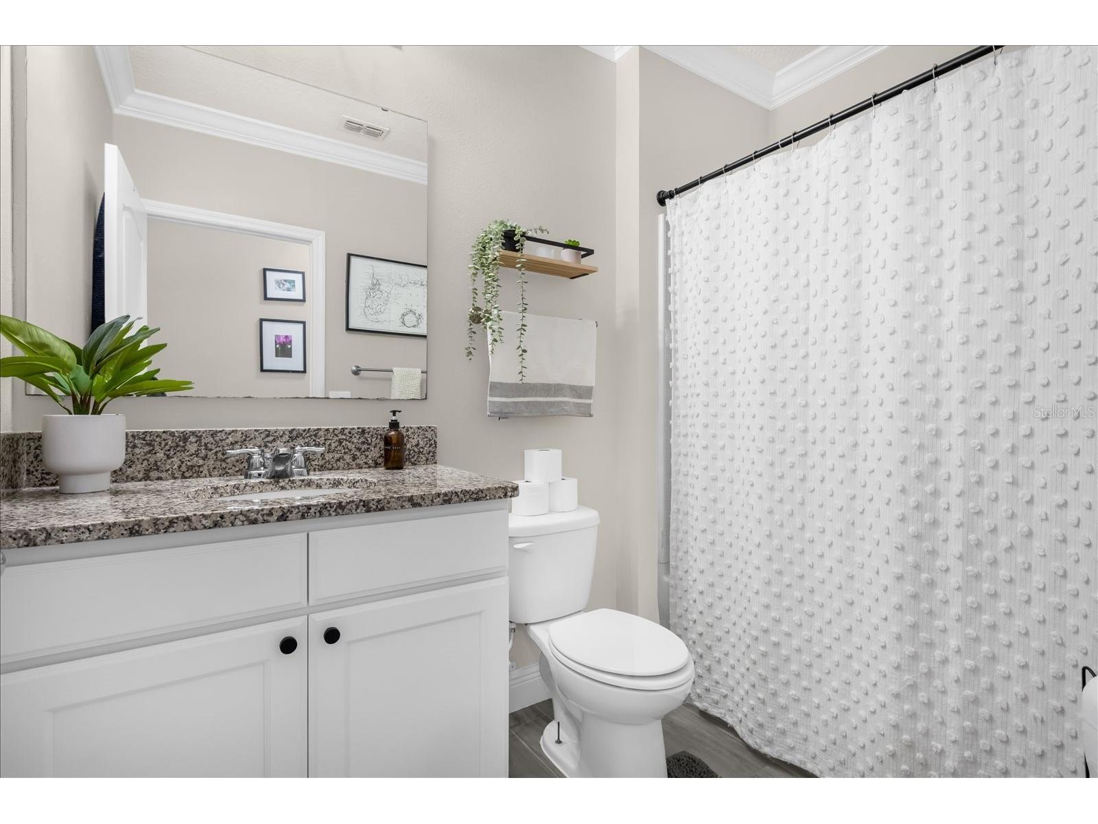 4570 Gadwall Drive Kissimmee FL 34744 O6407641 image21