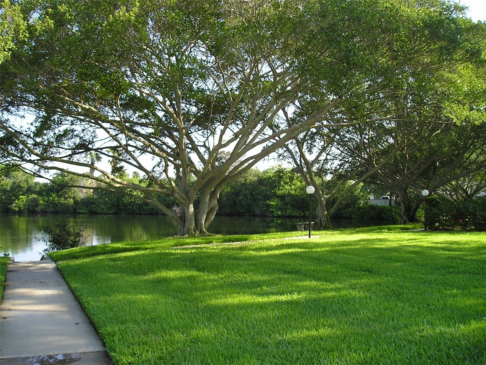 4570 Overlook Dr Ne #283 Saint Petersburg FL 33703 TB8509016 image17