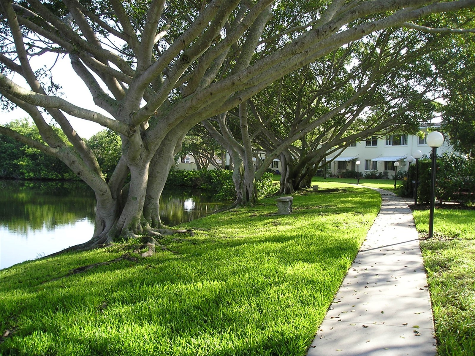 4570 Overlook Dr Ne #283 Saint Petersburg FL 33703 TB8509016 image19