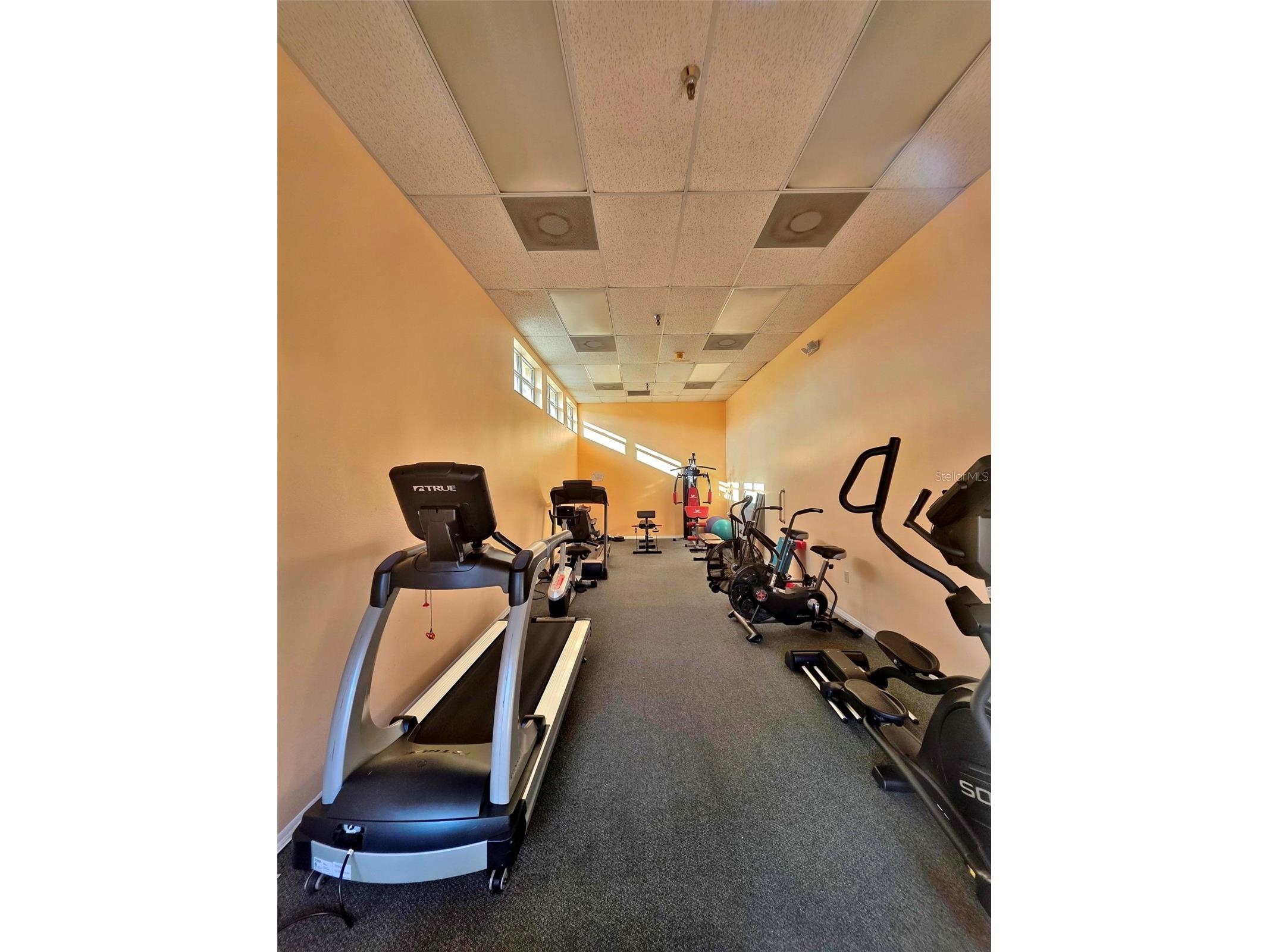 4570 Pinebrook Circle #208 Bradenton FL 34209 A4683046 image61