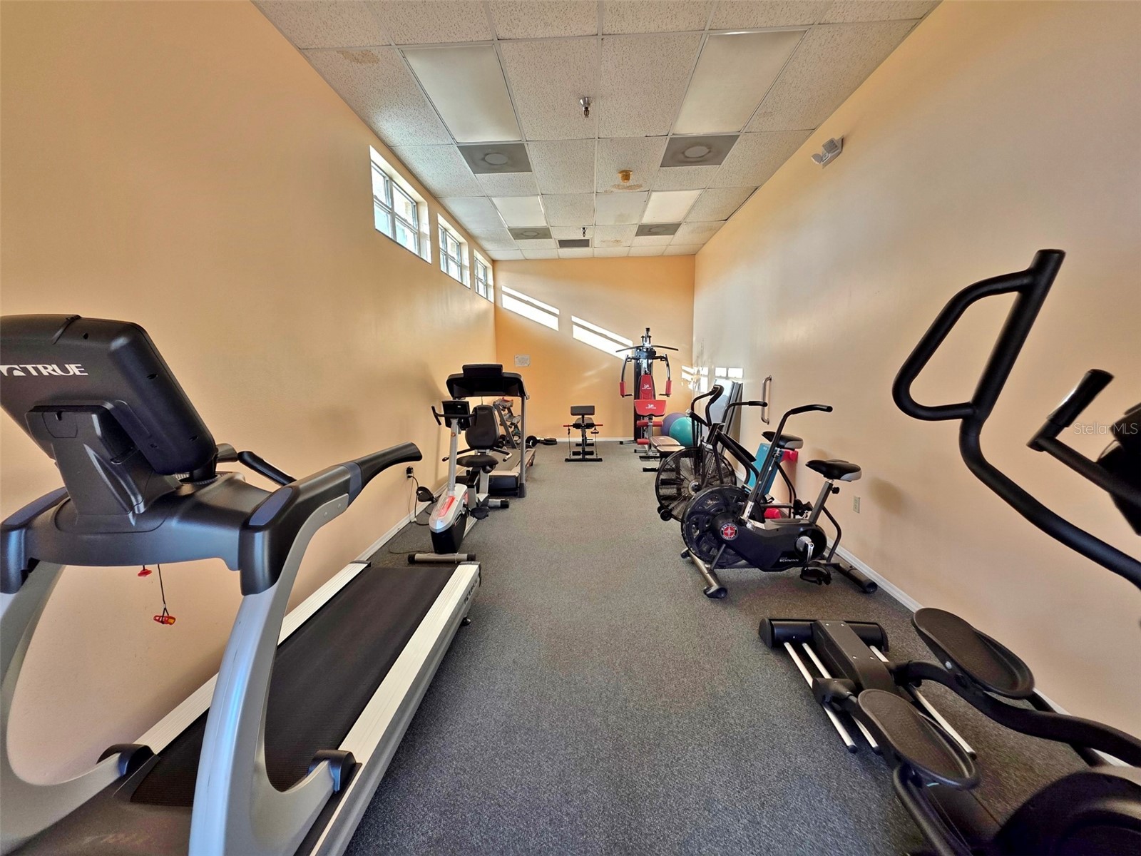 4570 Pinebrook Circle #208 Bradenton FL 34209 A4683046 image62