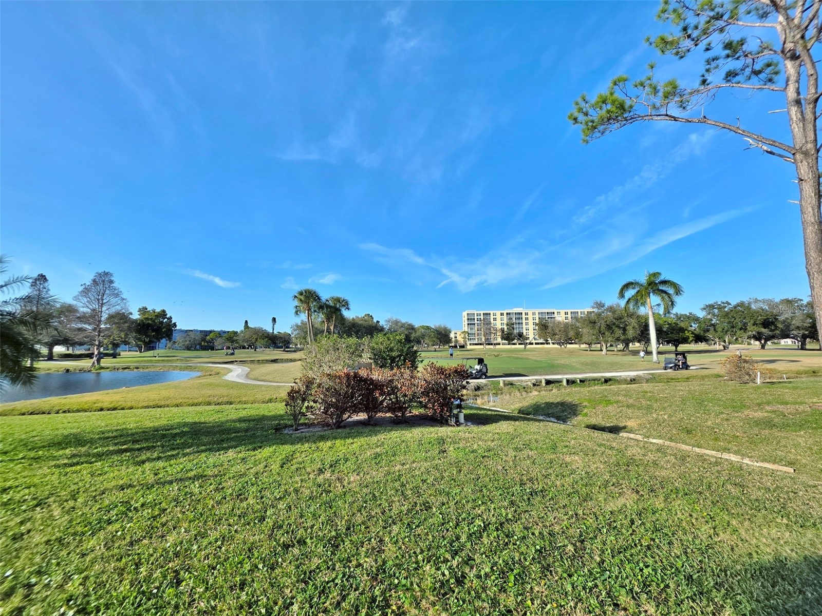 4570 Pinebrook Circle #208 Bradenton FL 34209 A4683046 image71