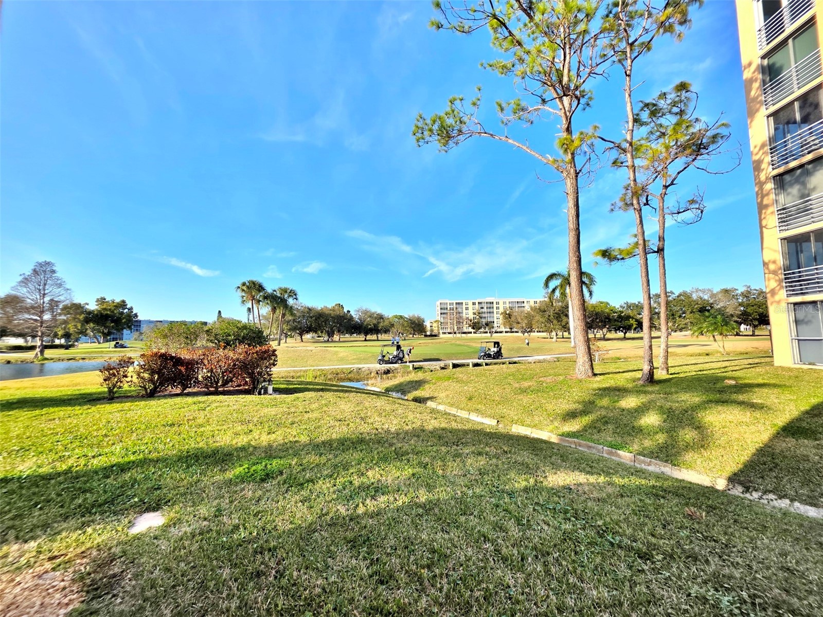 4570 Pinebrook Circle #208 Bradenton FL 34209 A4683046 image72