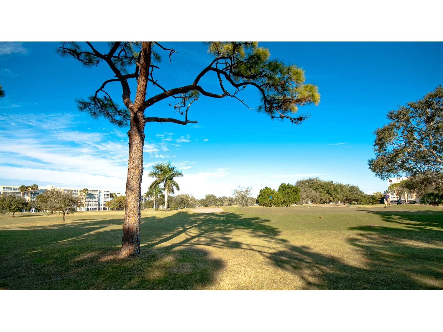 4570 Pinebrook Circle #302 Bradenton FL 34209 A4692940 image35