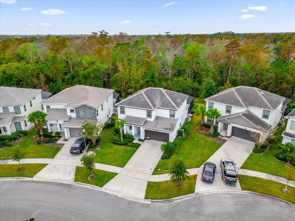 4571 Cabello Loop Kissimmee FL 34746 O6263008 image3