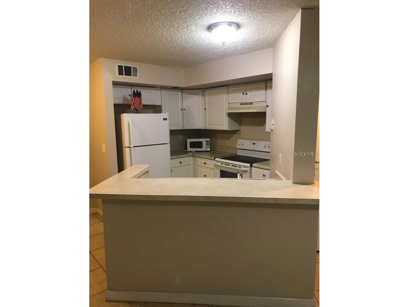 4572 Commander Drive #1213 Orlando FL 32822 S5151211 image6