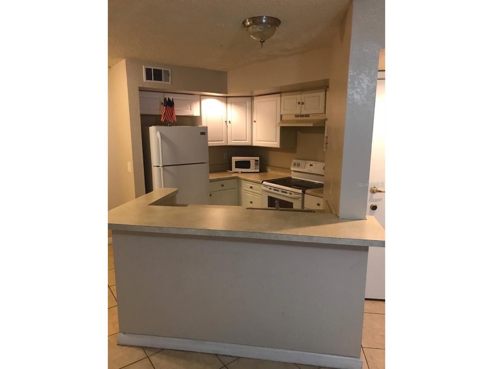 4572 Commander Drive #1213 Orlando FL 32822 S5151211 image7