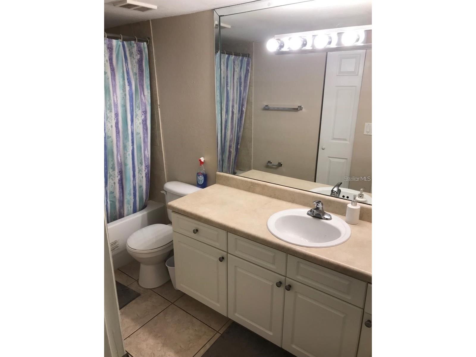 4572 Commander Drive #1213 Orlando FL 32822 S5151211 image9