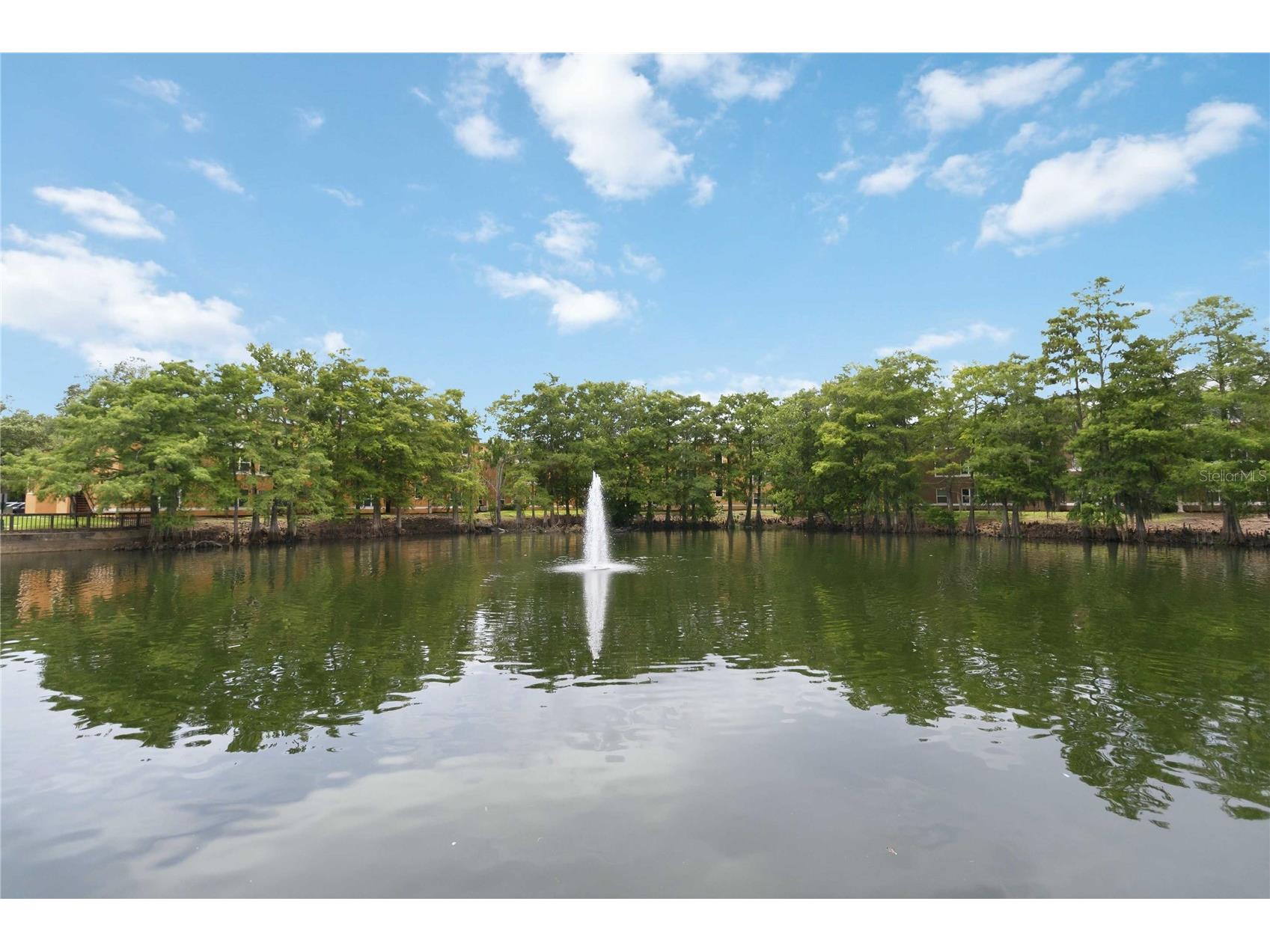 4572 Commander Drive #1227 Orlando FL 32822 O6418896 image28