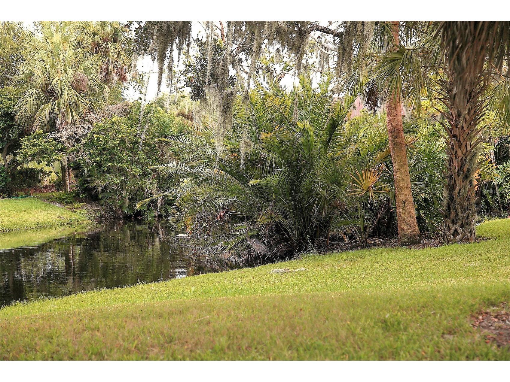 4572 Red Maple Road #901 Bradenton FL 34210 A4690009 image28