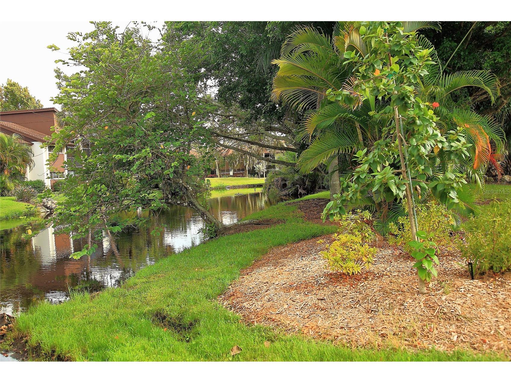 4572 Red Maple Road #901 Bradenton FL 34210 A4690009 image30