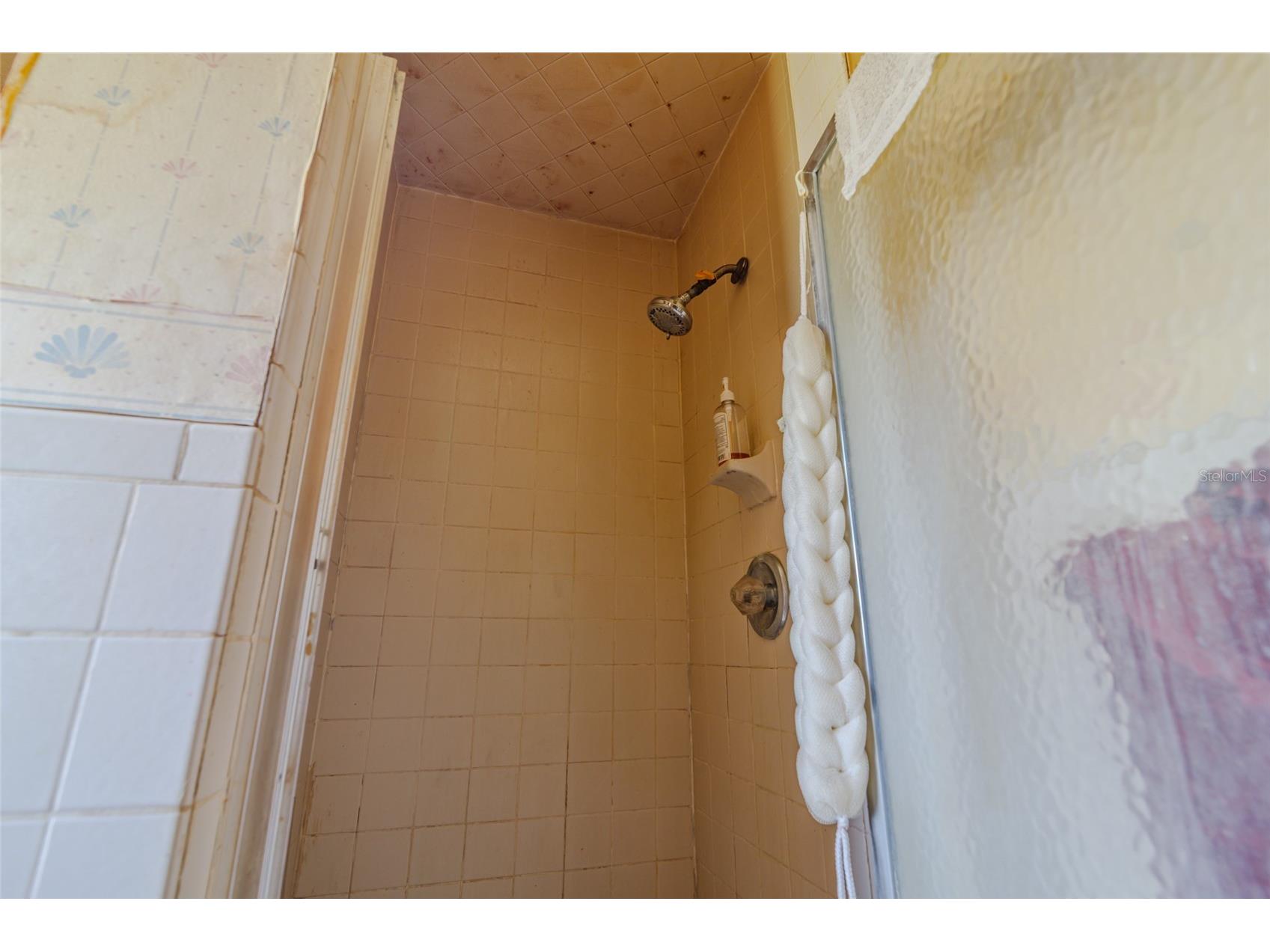 4572 SW 158th Street Road Ocala FL 34473 O6411561 image50
