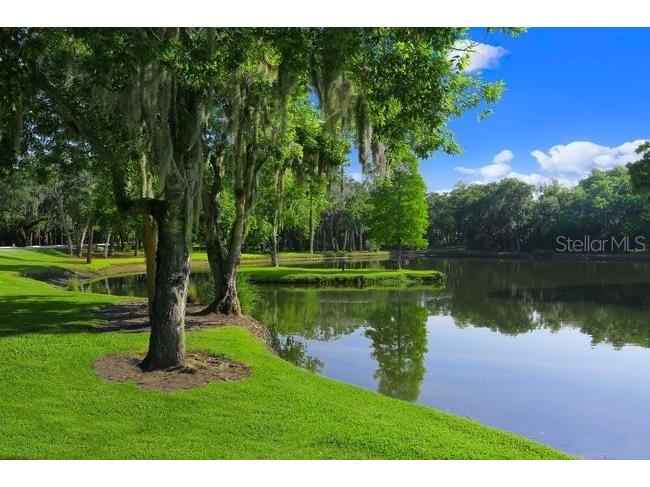 4574 Ringwood Meadow #4 Sarasota FL 34235 A4670157 image9