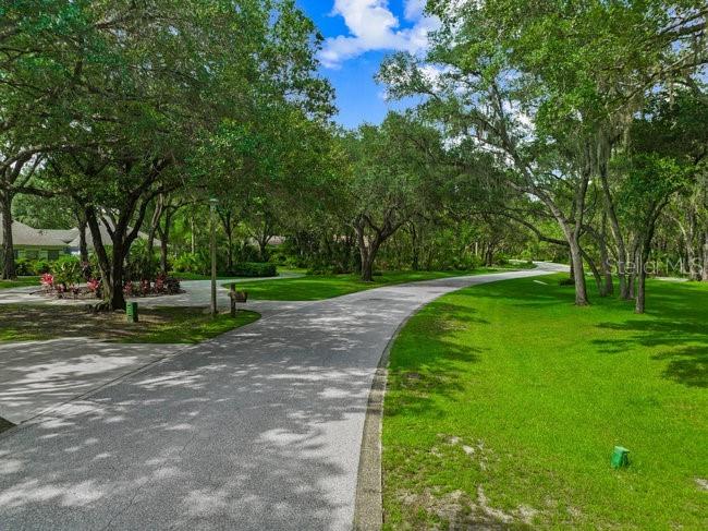 4574 Ringwood Meadow #4 Sarasota FL 34235 O6388000 image22