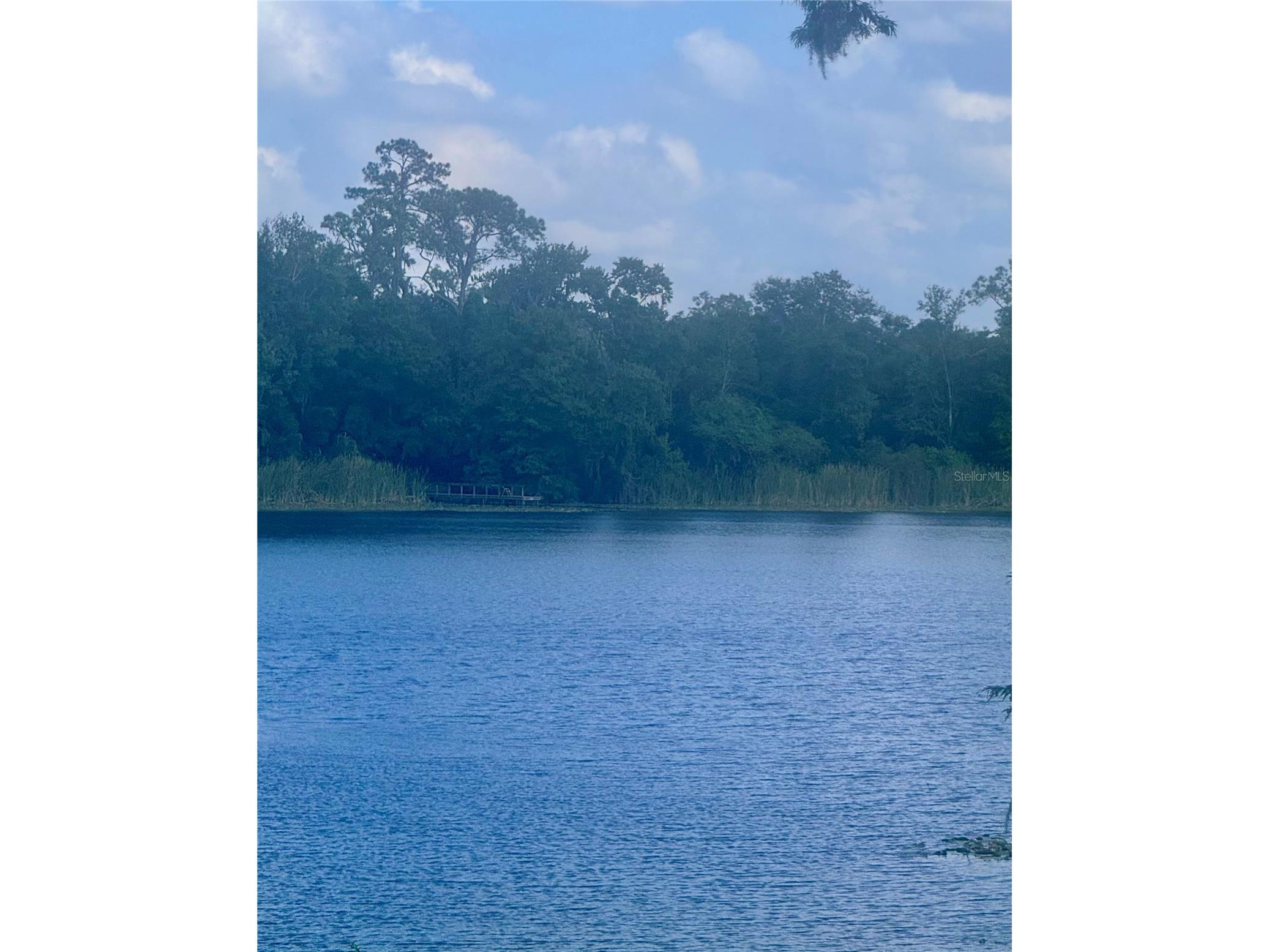 4574 Sailbreeze Court Orlando FL 32810 - LAKE BOSSE O6343698 image44