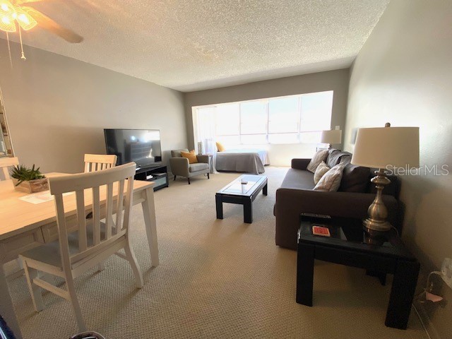 4575 Cove Cir #505 Saint Petersburg FL 33708 TB8511716 image13