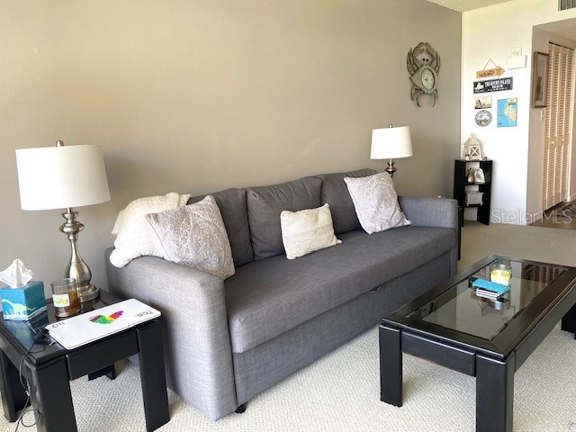 4575 Cove Cir #505 Saint Petersburg FL 33708 TB8511716 image18