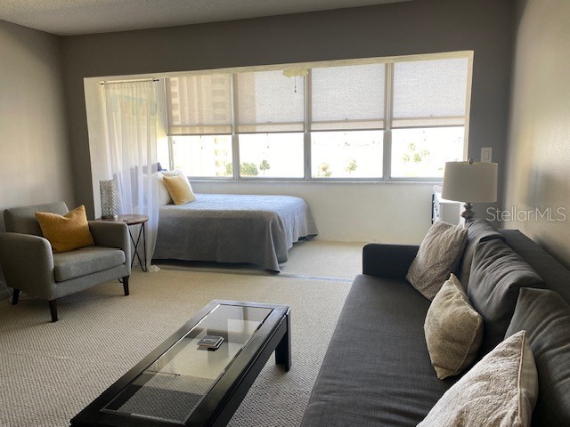 4575 Cove Cir #505 Saint Petersburg FL 33708 TB8511716 image19