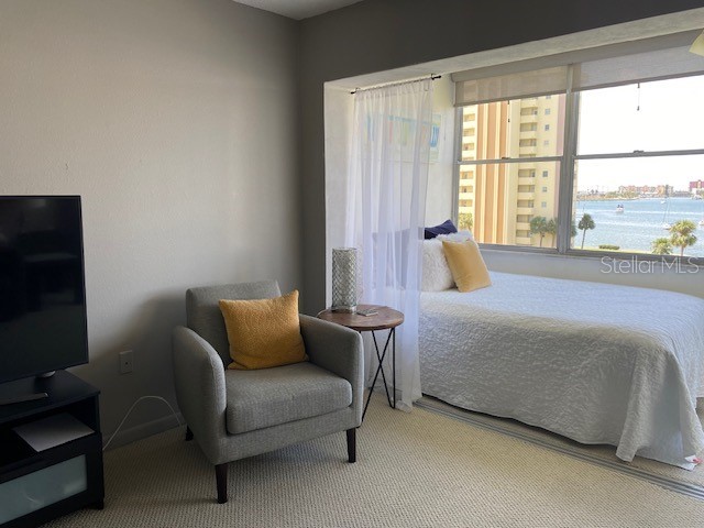 4575 Cove Cir #505 Saint Petersburg FL 33708 TB8511716 image20