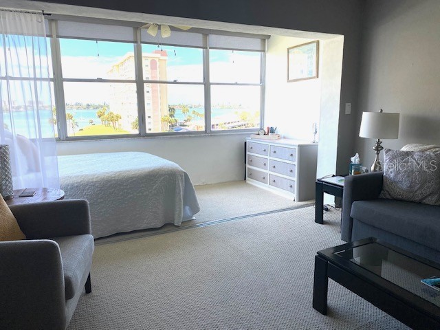 4575 Cove Cir #505 Saint Petersburg FL 33708 TB8511716 image22