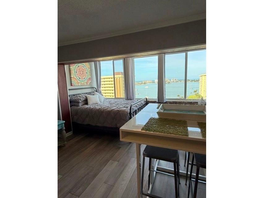 4575 Cove Circle #1105 Saint Petersburg FL 33708 TB8502812 image6