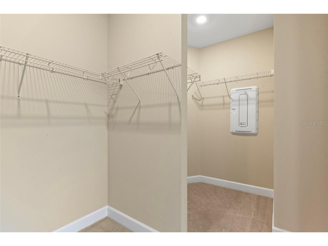 4575 Garofalo Road Wesley Chapel FL 33543 TB8448523 image17