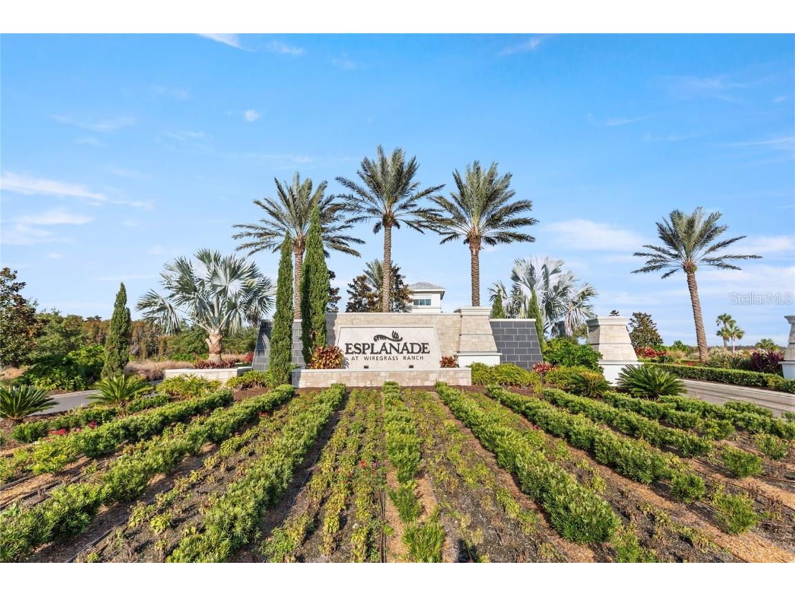 4575 Garofalo Road Wesley Chapel FL 33543 TB8448523 image27