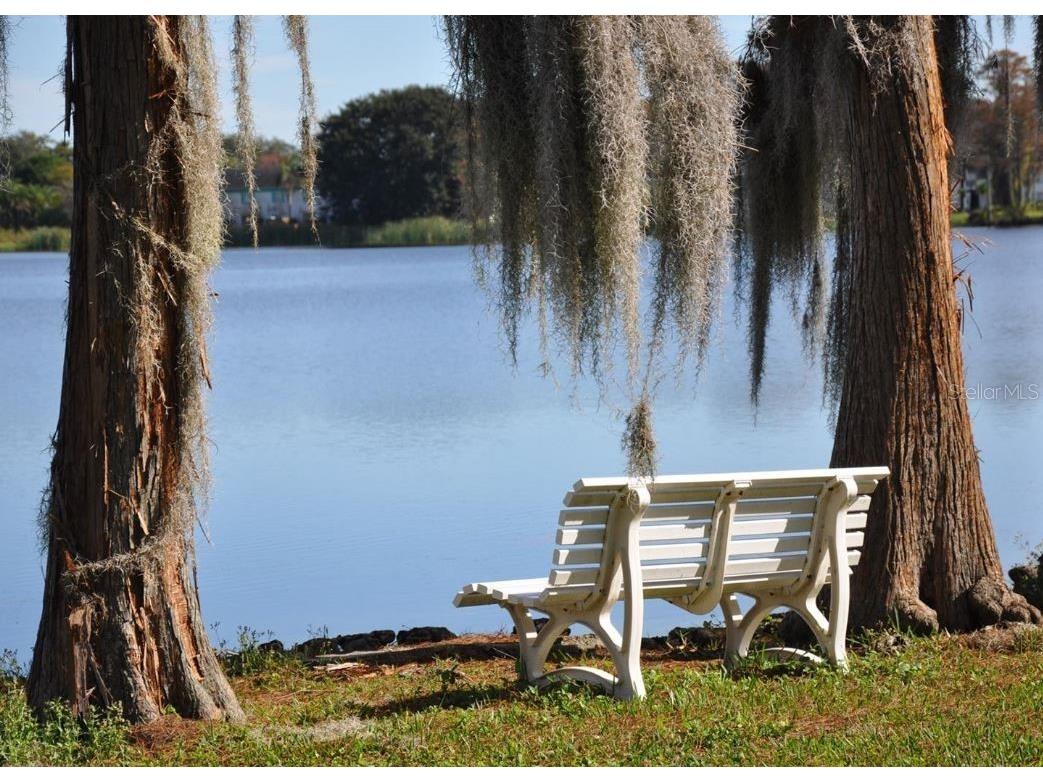 4575 S Texas Avenue #307 Orlando FL 32839 S5123852 image20