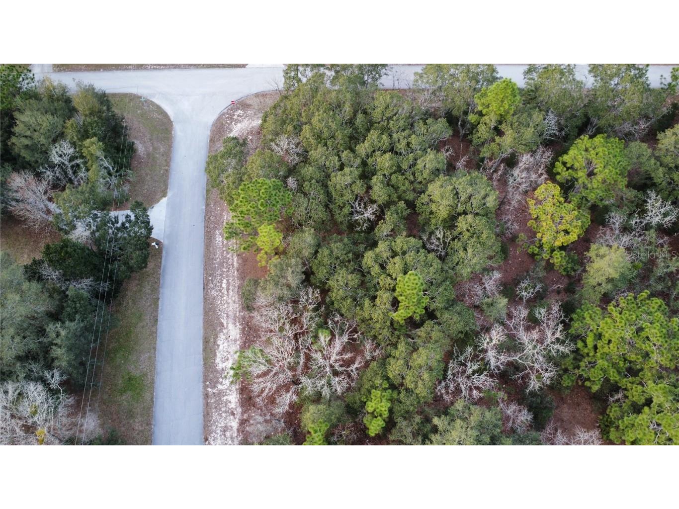 4577 N Modelwood Drive Beverly Hills FL 34465 OM652069 image1