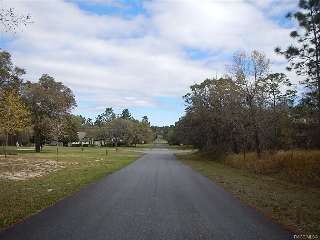 4579 N Baywood Drive Beverly Hills FL 34465 W7850300 image1