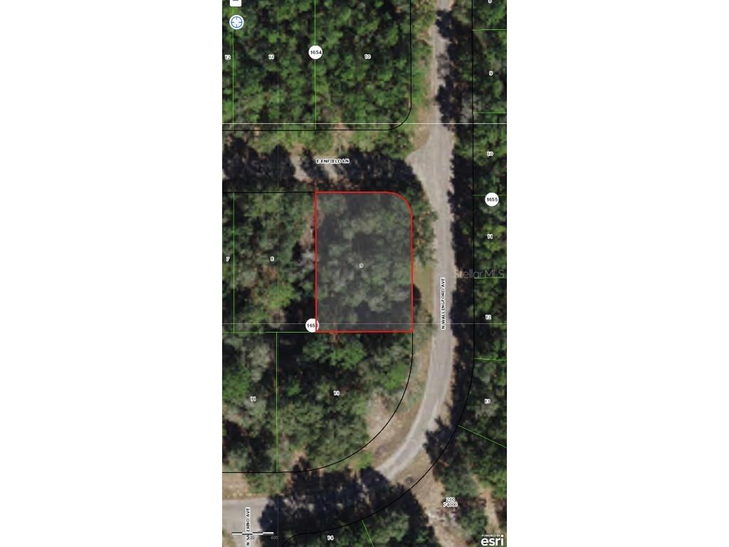 458 E Enfield Lane Citrus Springs FL 34434 O6093530 image1