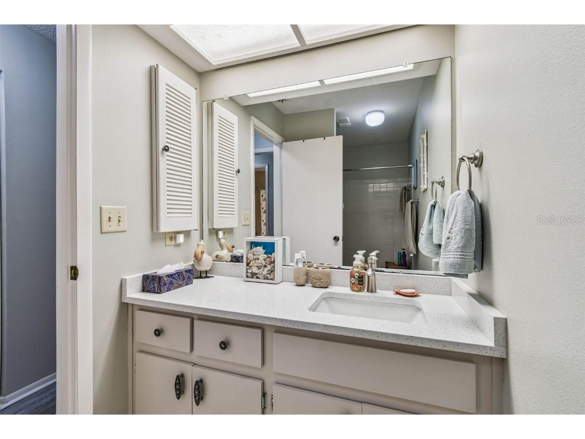 458 Exmoor Terrace #1672 Dunedin FL 34698 TB8419390 image43