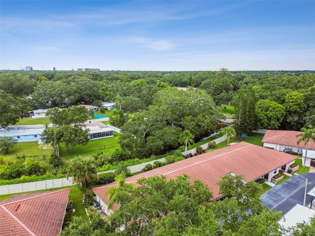 458 Exmoor Terrace #1672 Dunedin FL 34698 TB8419390 image55