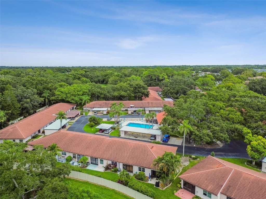 458 Exmoor Terrace #1672 Dunedin FL 34698 TB8419390 image58