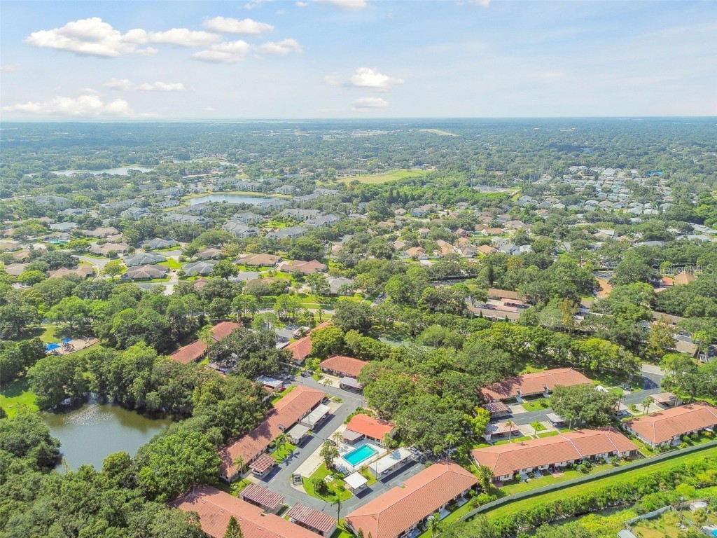 458 Exmoor Terrace #1672 Dunedin FL 34698 TB8419390 image61