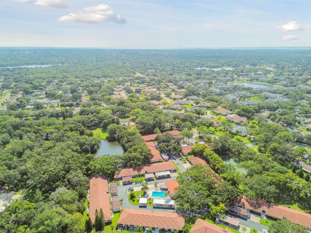 458 Exmoor Terrace #1672 Dunedin FL 34698 TB8419390 image62