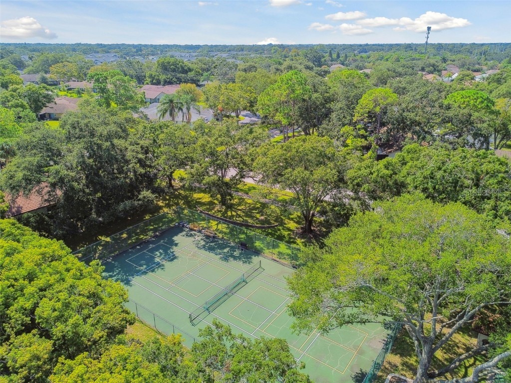 458 Exmoor Terrace #1672 Dunedin FL 34698 TB8419390 image63