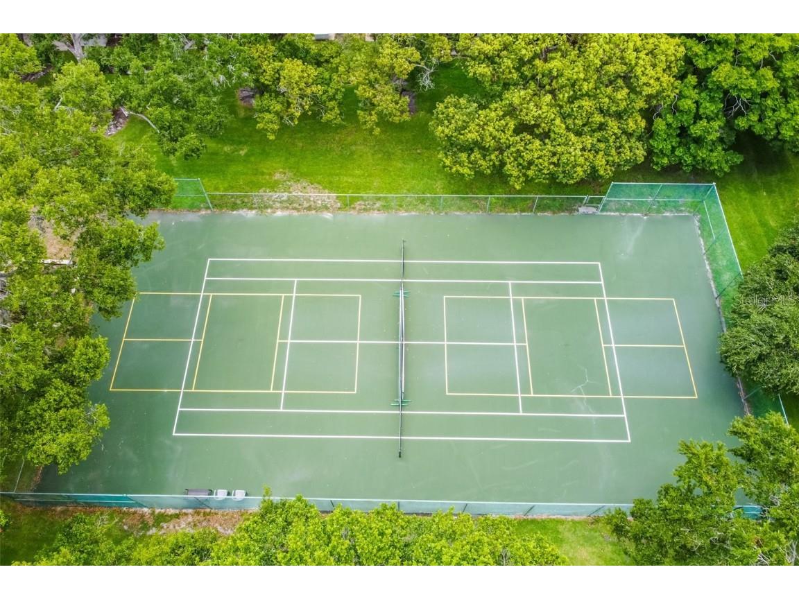 458 Exmoor Terrace #1672 Dunedin FL 34698 TB8419390 image64