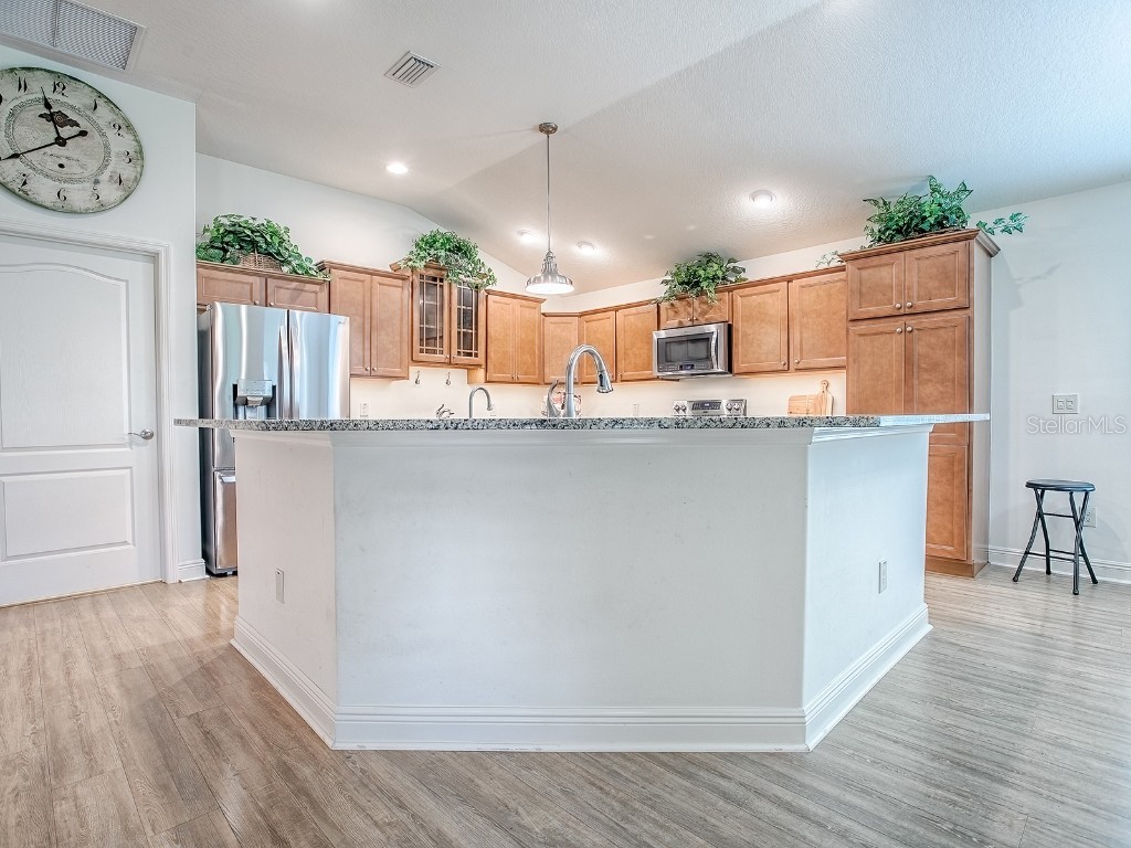 458 Jungle Plum Way The Villages FL 32163 G5103594 image10