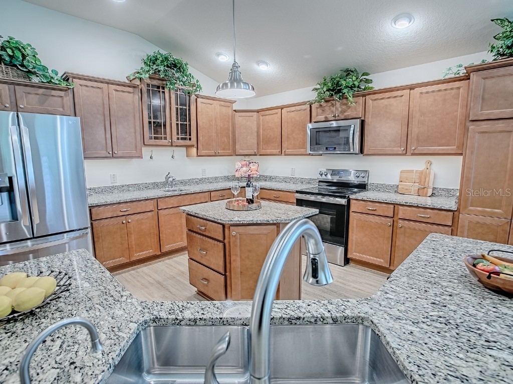 458 Jungle Plum Way The Villages FL 32163 G5103594 image5