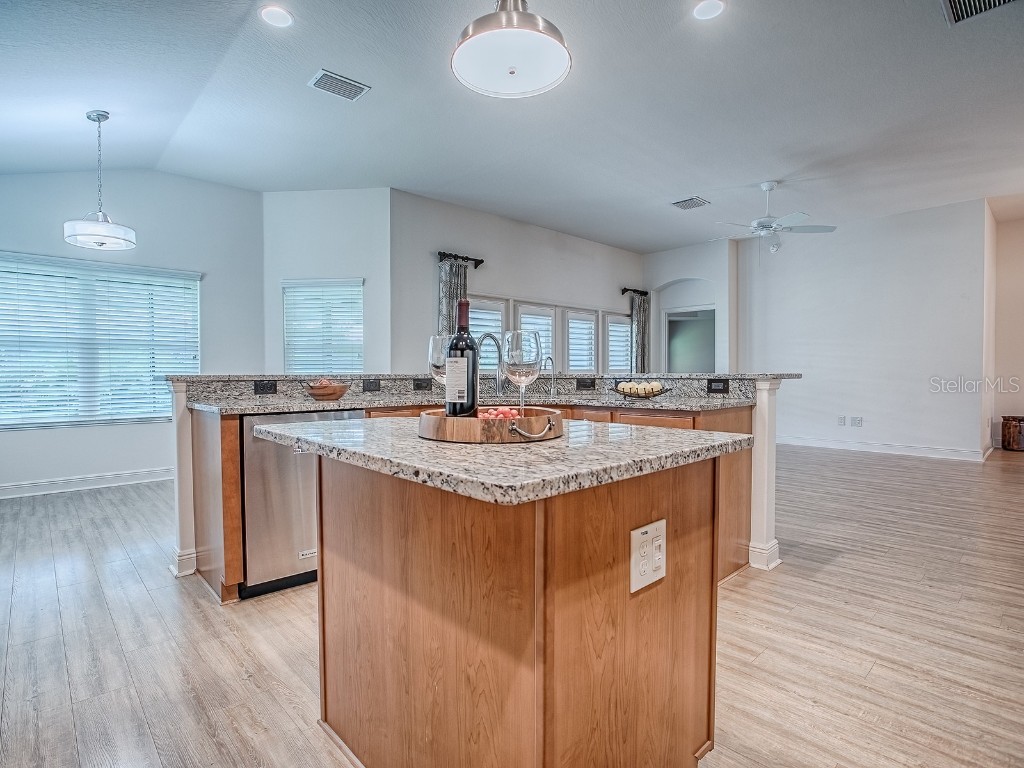 458 Jungle Plum Way The Villages FL 32163 G5103594 image9