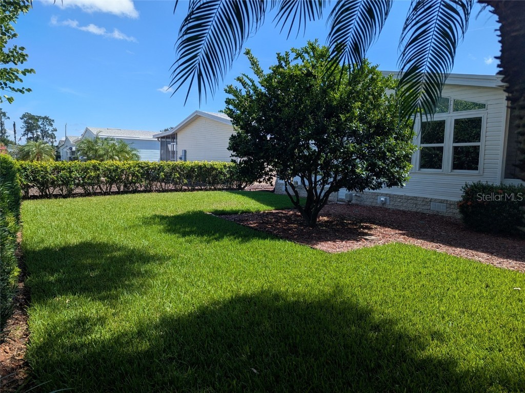 458 Saint Johns Road Tavares FL 32778 G5100623 image27