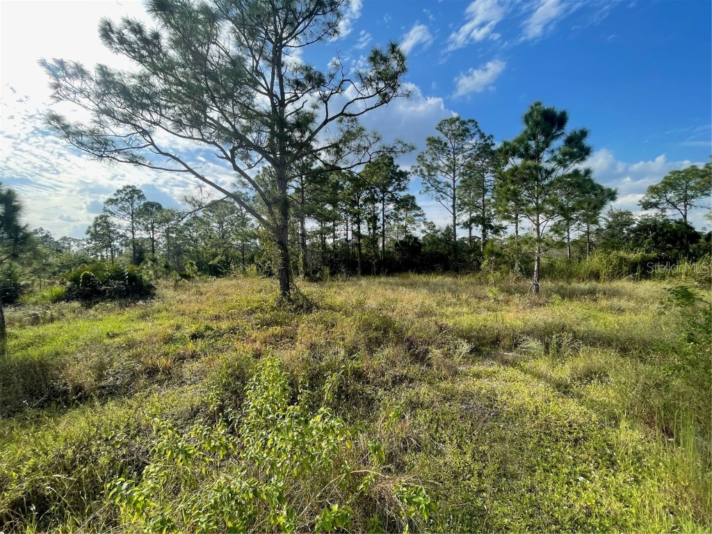 458 Windsor Avenue S Lehigh Acres FL 33974 O6151781 image1